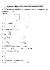 2022-2023学年武汉市洪山区六年级数学第二学期期末综合测试试题含解析