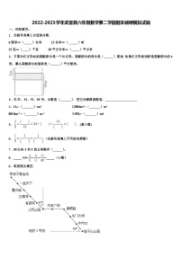 2022-2023学年武宣县六年级数学第二学期期末调研模拟试题含解析