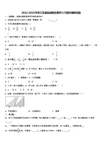 2022-2023学年江苏省盐城地区数学六下期末调研试题含解析