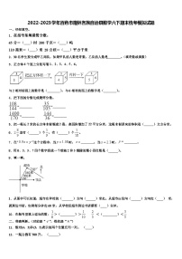 2022-2023学年百色市隆林各族自治县数学六下期末统考模拟试题含解析