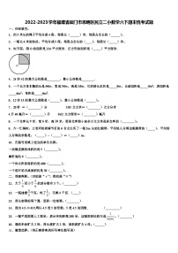 2022-2023学年福建省厦门市思明区民立二小数学六下期末统考试题含解析