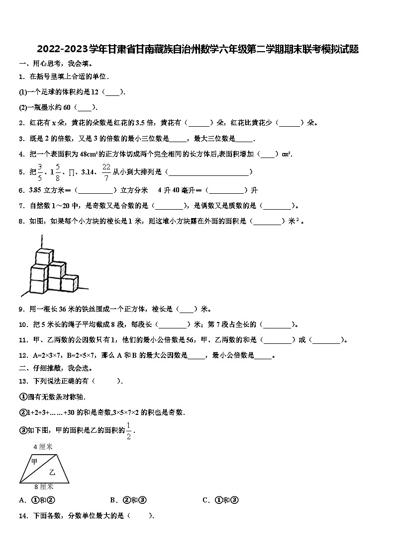2022-2023学年甘肃省甘南藏族自治州数学六年级第二学期期末联考模拟试题含解析第1页