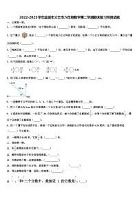 2022-2023学年盐城市大丰市六年级数学第二学期期末复习检测试题含解析