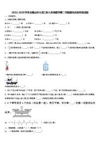 2022-2023学年石嘴山市大武口区六年级数学第二学期期末达标检测试题含解析