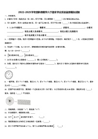 2022-2023学年田林县数学六下期末学业质量监测模拟试题含解析