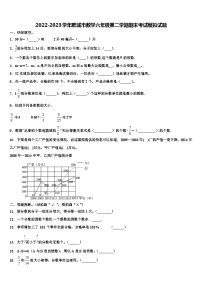 2022-2023学年肥城市数学六年级第二学期期末考试模拟试题含解析