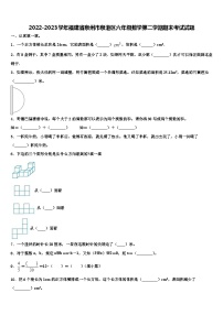 2022-2023学年福建省泉州市泉港区六年级数学第二学期期末考试试题含解析