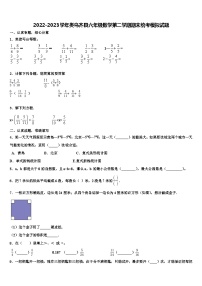 2022-2023学年类乌齐县六年级数学第二学期期末统考模拟试题含解析