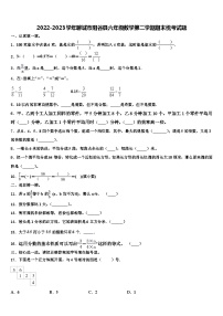 2022-2023学年聊城市阳谷县六年级数学第二学期期末统考试题含解析