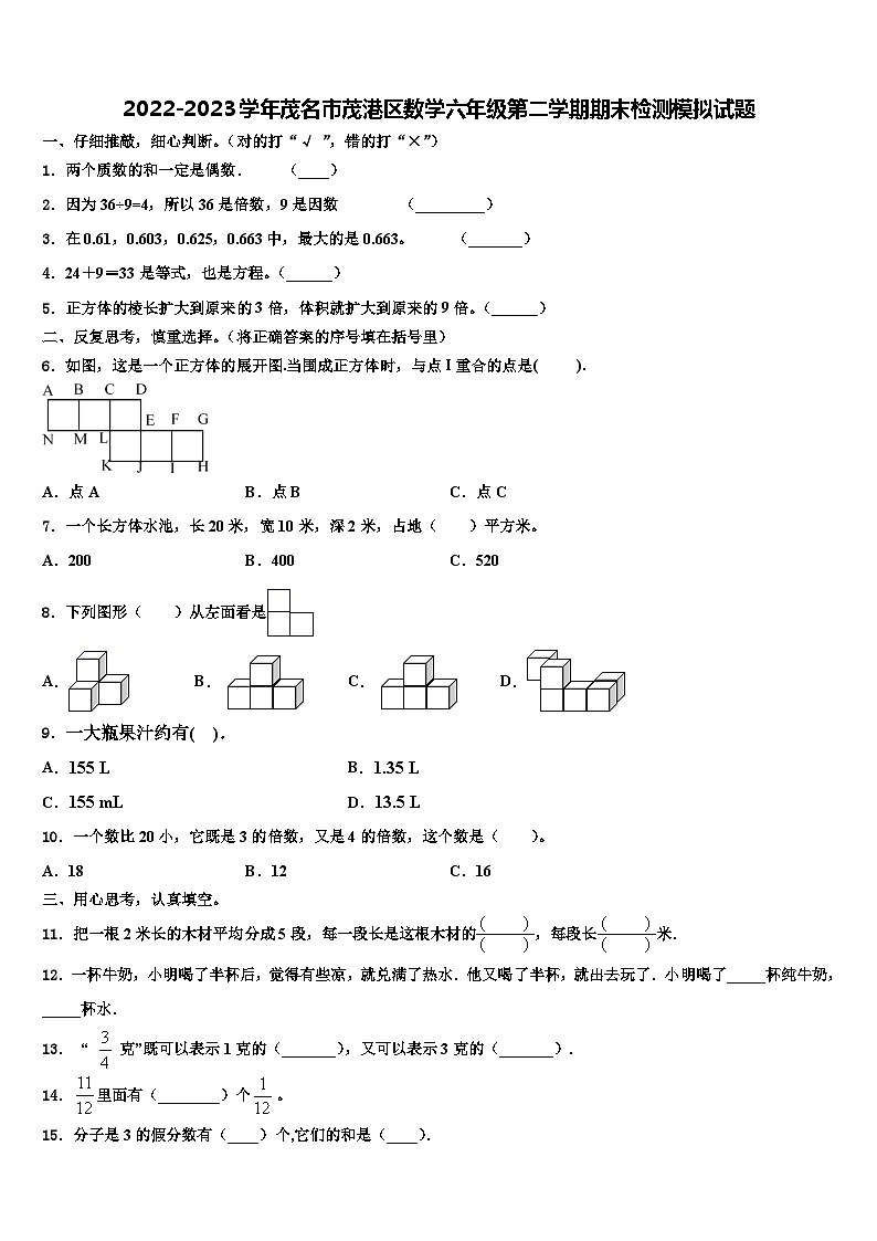 2022-2023学年茂名市茂港区数学六年级第二学期期末检测模拟试题含解析01
