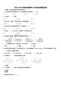 2022-2023学年若羌县数学六下期末监测模拟试题含解析