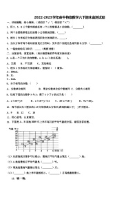 2022-2023学年翁牛特旗数学六下期末监测试题含解析