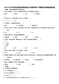 2022-2023学年贡山独龙族怒族自治县六年级数学第二学期期末质量跟踪监视试题含解析