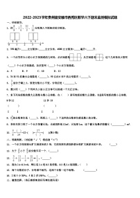 2022-2023学年贵州省安顺市西秀区数学六下期末监测模拟试题含解析