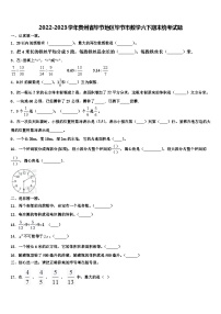 2022-2023学年贵州省毕节地区毕节市数学六下期末统考试题含解析