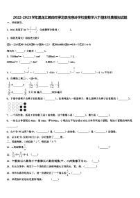 2022-2023学年黑龙江鹤岗市萝北县宝泉岭学校度数学六下期末经典模拟试题含解析