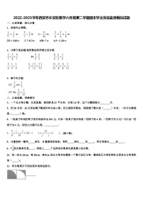 2022-2023学年西安市长安区数学六年级第二学期期末学业质量监测模拟试题含解析