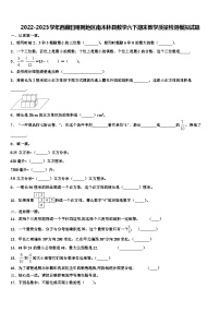 2022-2023学年西藏日喀则地区南木林县数学六下期末教学质量检测模拟试题含解析