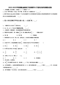 2022-2023学年西藏山南地区乃东县数学六下期末达标检测模拟试题含解析