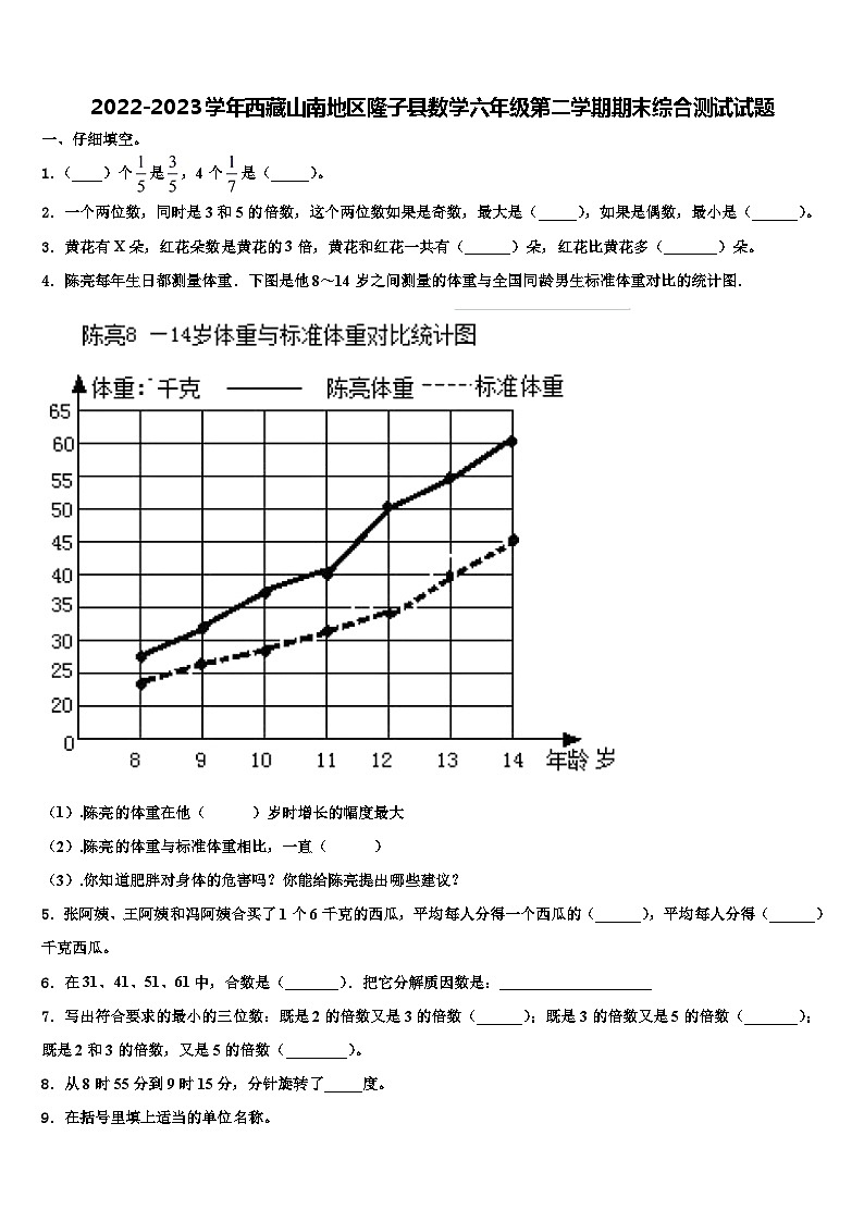 2022-2023学年西藏山南地区隆子县数学六年级第二学期期末综合测试试题含解析01