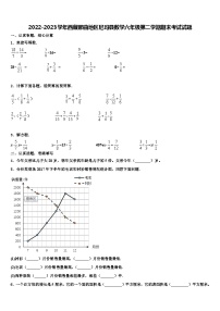 2022-2023学年西藏那曲地区尼玛县数学六年级第二学期期末考试试题含解析