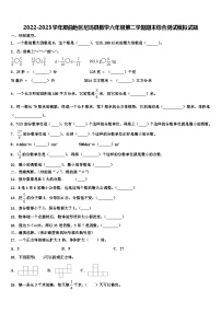 2022-2023学年那曲地区尼玛县数学六年级第二学期期末综合测试模拟试题含解析