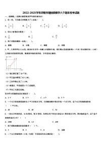 2022-2023学年邵阳市隆回县数学六下期末统考试题含解析