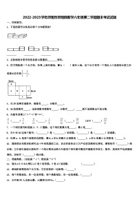 2022-2023学年邵阳市邵阳县数学六年级第二学期期末考试试题含解析