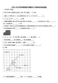 2022-2023学年邵阳市新宁县数学六下期末综合测试试题含解析