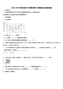 2022-2023学年运城市六年级数学第二学期期末达标测试试题含解析