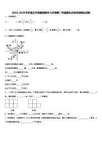 2022-2023学年重庆市荣昌县数学六年级第二学期期末达标检测模拟试题含解析