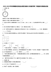 2022-2023学年阿坝藏族羌族自治州若尔盖县六年级数学第二学期期末经典模拟试题含解析