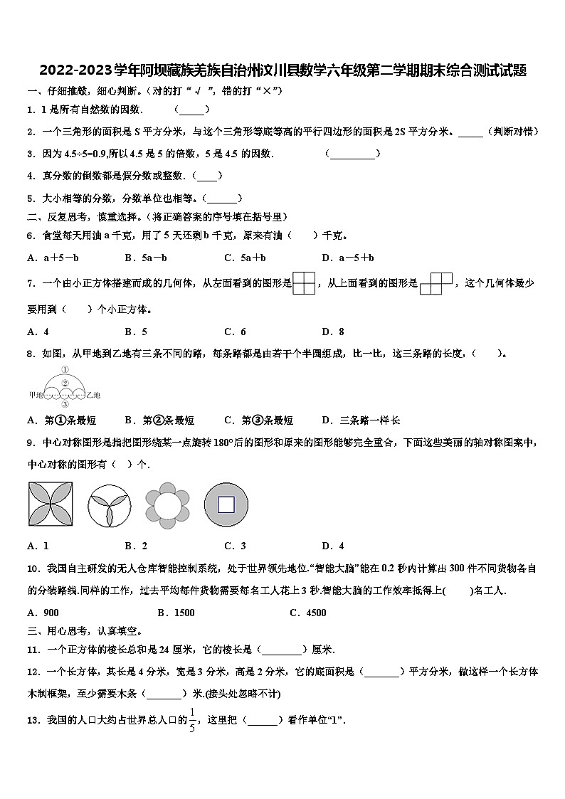 2022-2023学年阿坝藏族羌族自治州汶川县数学六年级第二学期期末综合测试试题含解析01