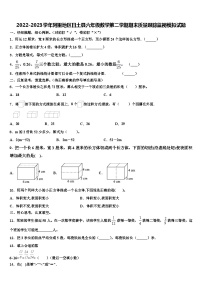 2022-2023学年阿里地区日土县六年级数学第二学期期末质量跟踪监视模拟试题含解析