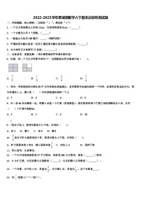 2022-2023学年阜城县数学六下期末达标检测试题含解析