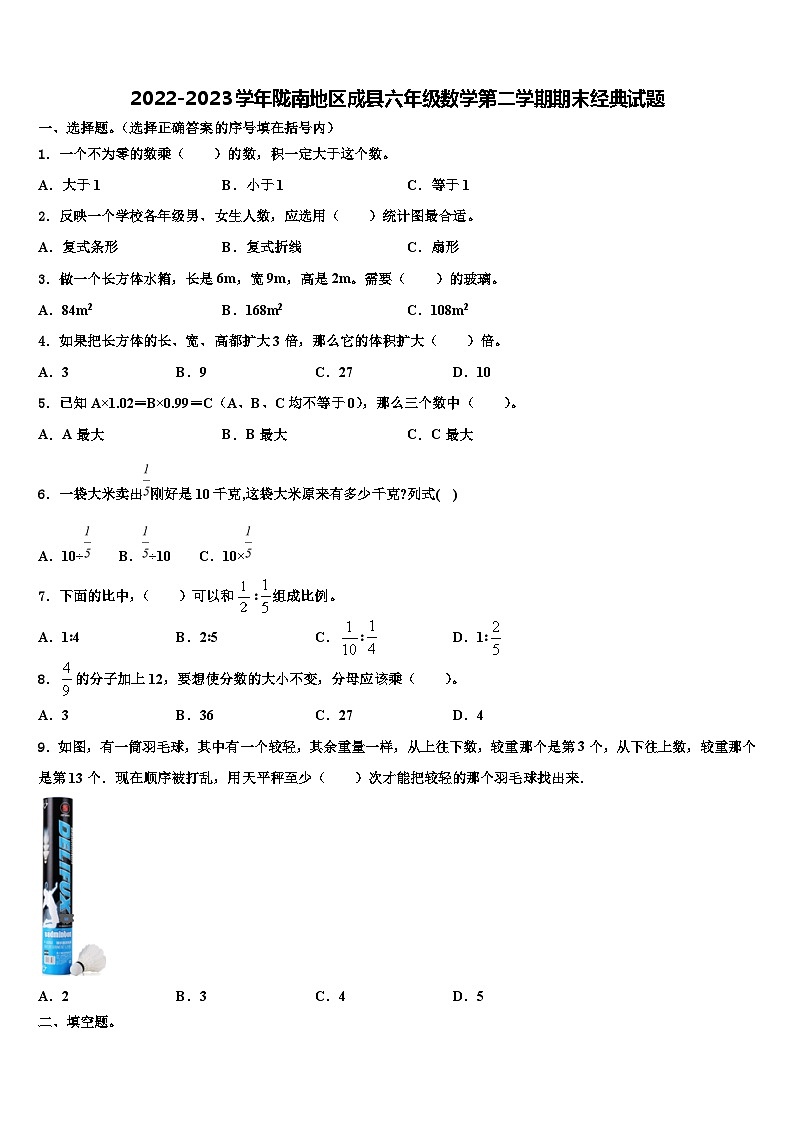 2022-2023学年陇南地区成县六年级数学第二学期期末经典试题含解析第1页