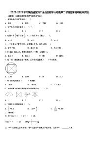 2022-2023学年陕西省宝鸡市金台区数学六年级第二学期期末调研模拟试题含解析