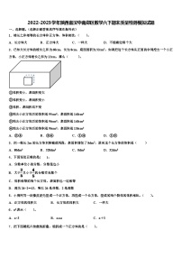 2022-2023学年陕西省汉中南郑区数学六下期末质量检测模拟试题含解析