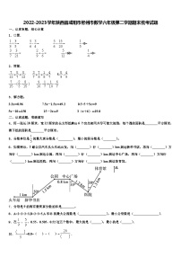 2022-2023学年陕西省咸阳市彬州市数学六年级第二学期期末统考试题含解析