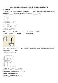 2022-2023学年阳谷县数学六年级第二学期期末调研模拟试题含解析