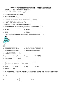 2022-2023学年鹤壁市卷数学六年级第二学期期末质量检测试题含解析