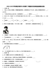 2022-2023学年鹤壁市数学六年级第二学期期末质量跟踪监视模拟试题含解析