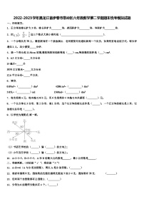 2022-2023学年黑龙江省伊春市带岭区六年级数学第二学期期末统考模拟试题含解析