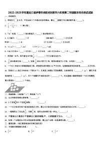 2022-2023学年黑龙江省伊春市汤旺河区数学六年级第二学期期末综合测试试题含解析