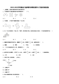 2022-2023学年黑龙江省伊春市伊春区数学六下期末预测试题含解析