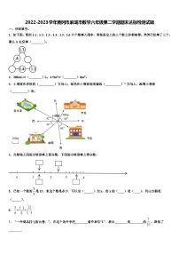 2022-2023学年黄冈市麻城市数学六年级第二学期期末达标检测试题含解析