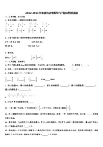 2022-2023学年驻马店市数学六下期末检测试题含解析