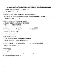 2022-2023学年青海省玉树藏族自治州数学六下期末质量跟踪监视试题含解析