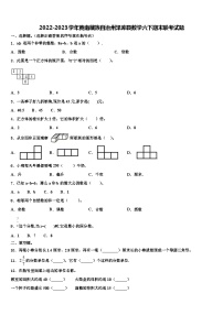 2022-2023学年黄南藏族自治州泽库县数学六下期末联考试题含解析