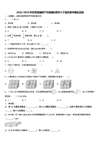 2022-2023学年青海省西宁市城西区数学六下期末联考模拟试题含解析